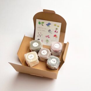 えらぶ色のジャガイモねんど・5色入りBOX